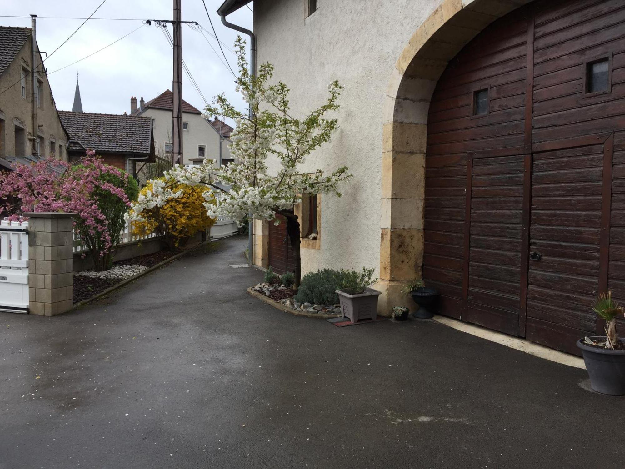 Appartement Ravissant En Bordure Du Doubs Longevelle-sur-Doubs Esterno foto