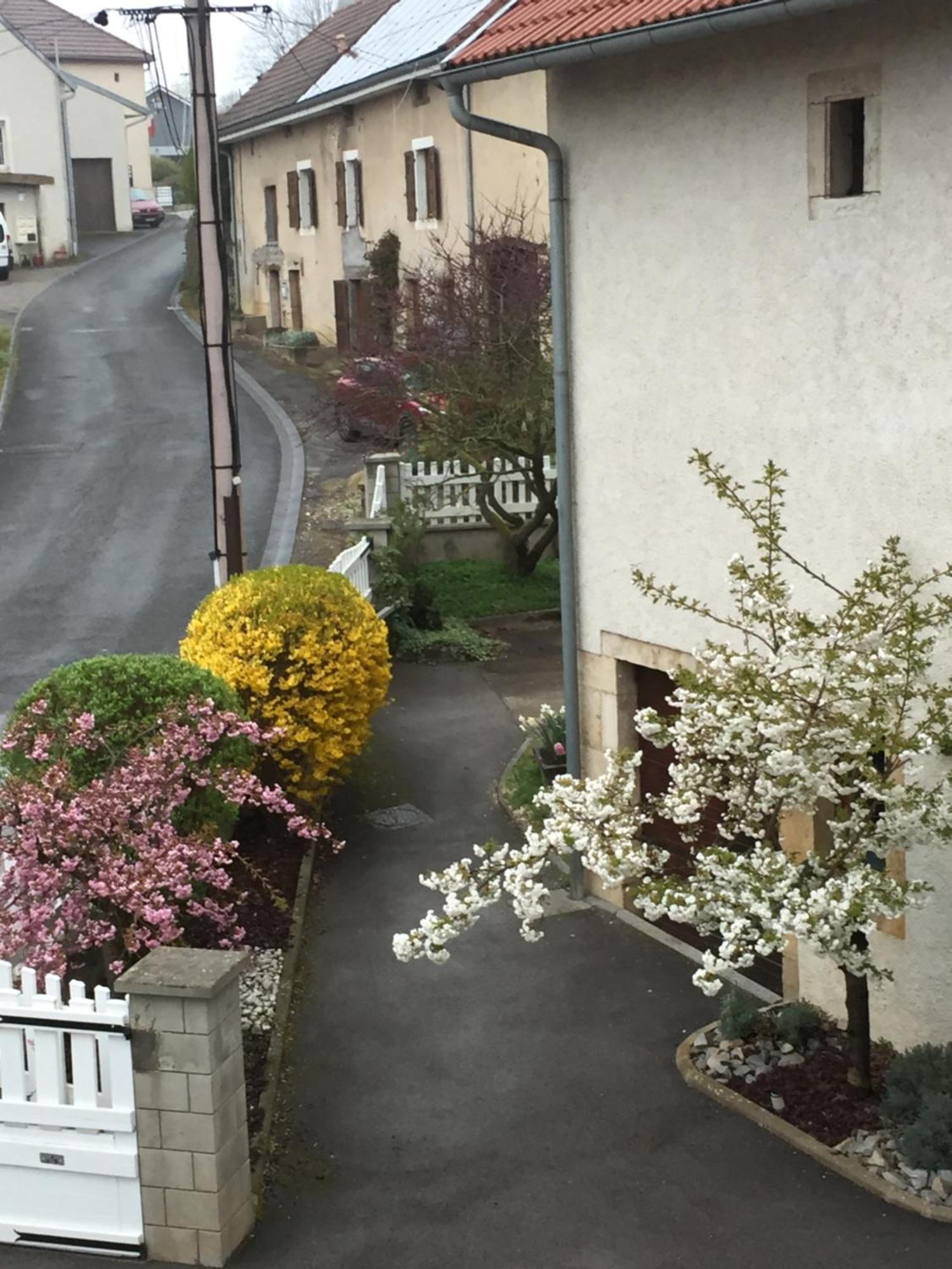 Appartement Ravissant En Bordure Du Doubs Longevelle-sur-Doubs Esterno foto